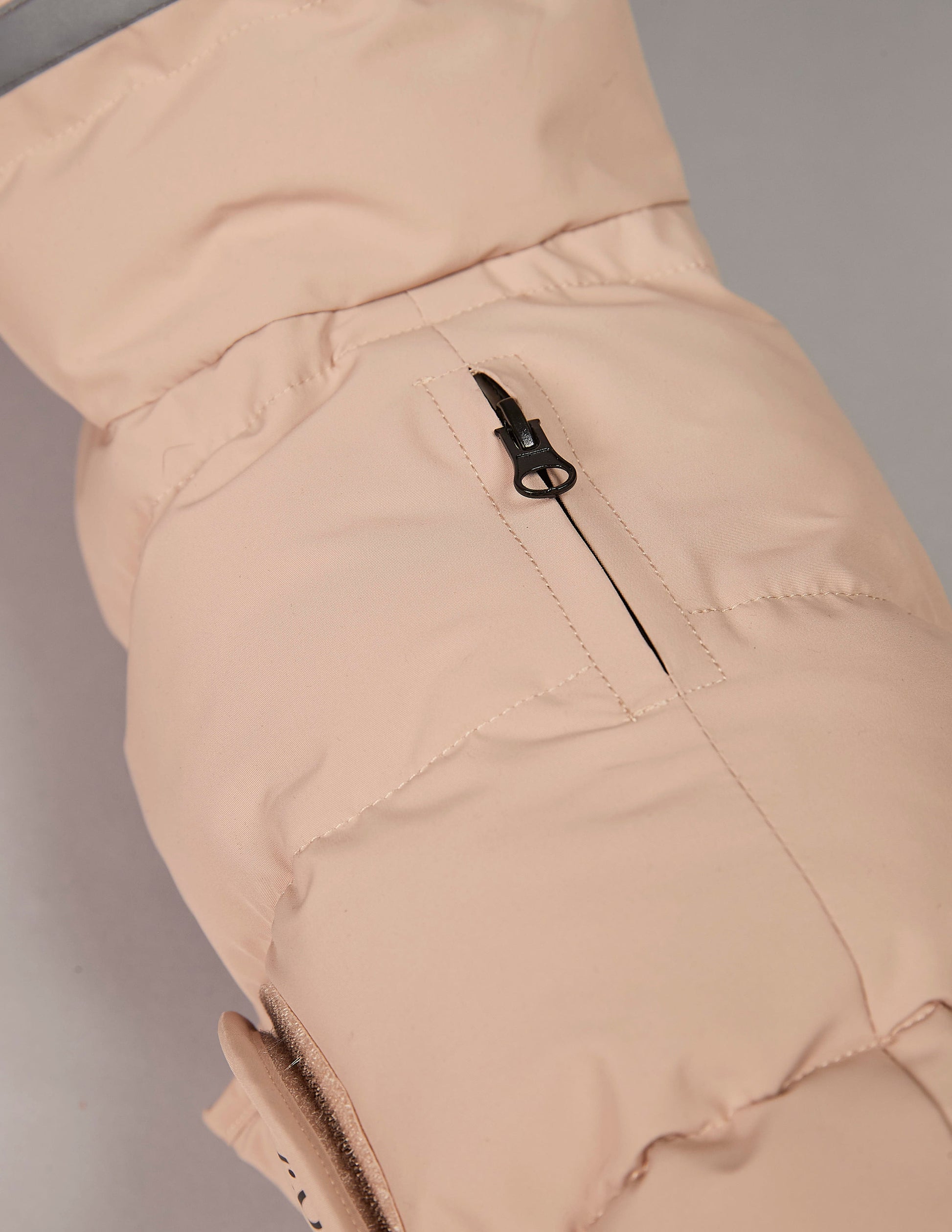 dachshund winter jacket close-up from the top