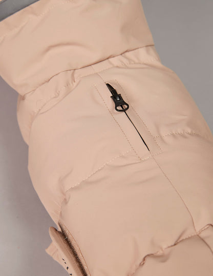 dachshund winter jacket close-up from the top